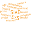 nuage de mots: Emploi, ESS, SIAE, IAE, job, travail, valeurs, compétence, solidaire