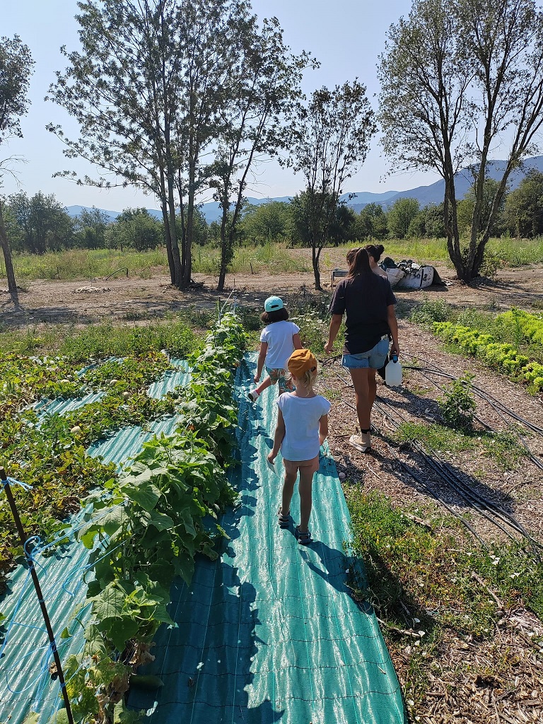 les enfants du centre aéré découvre les cultures de l'association